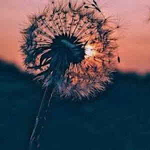 Meet your Posher, Sanaa